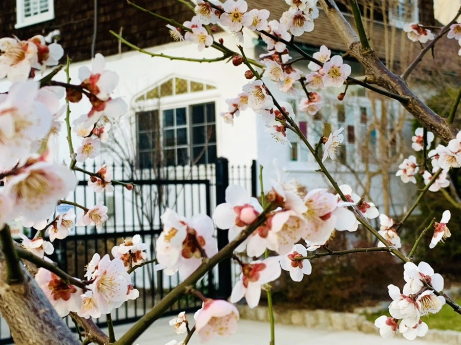 IMG_2759.jpg?type=w966