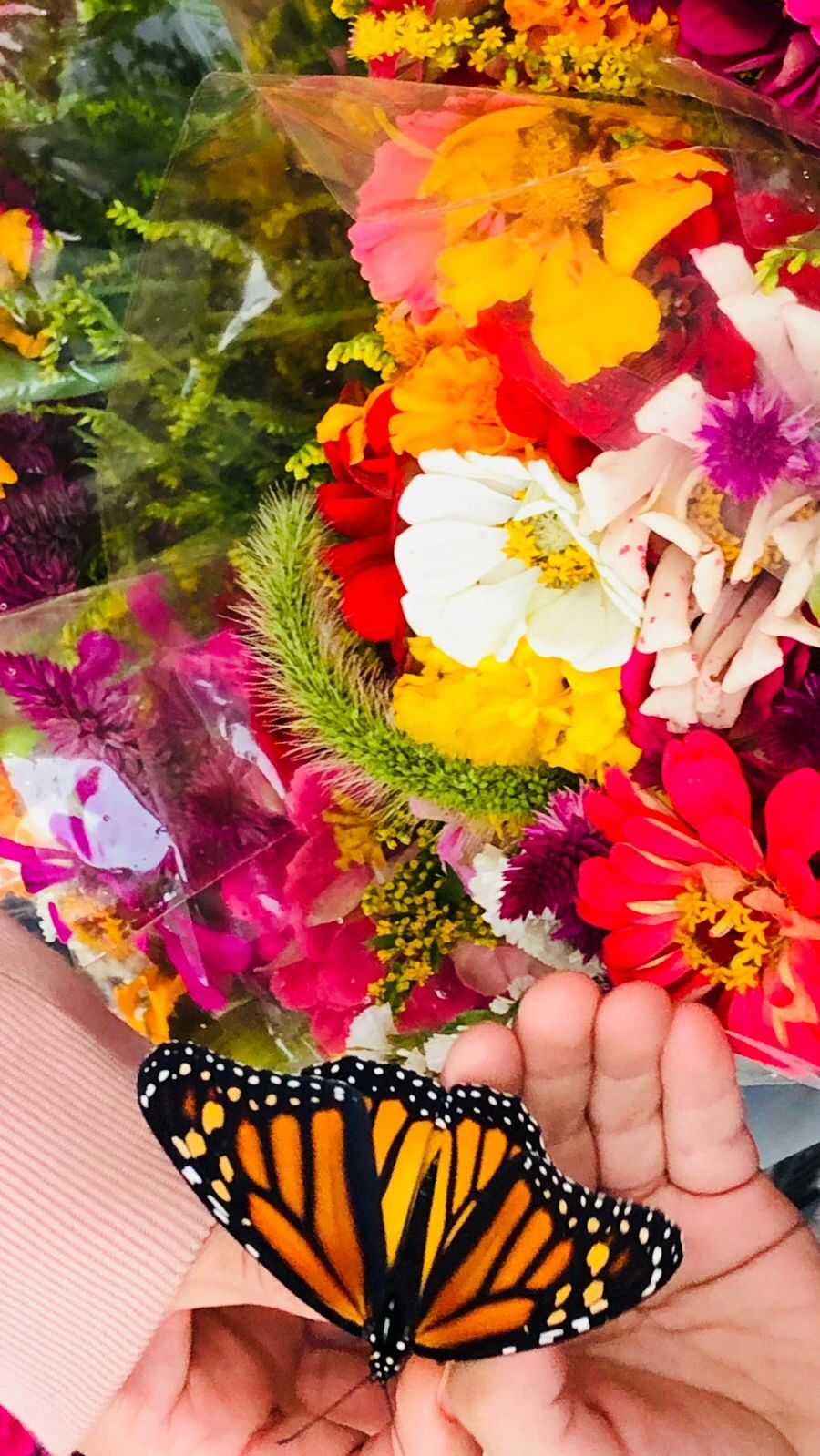 IMG_4422.jpg?type=w966