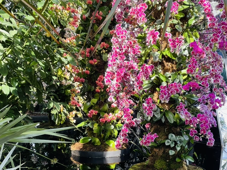 IMG_4439.jpg?type=w966