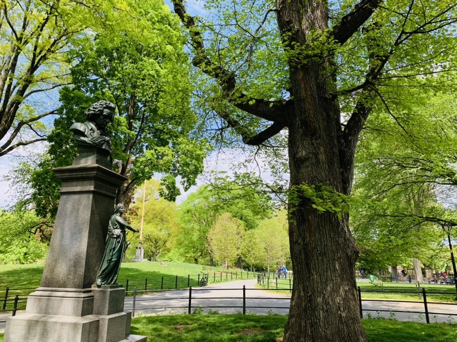 IMG_8808.jpg?type=w966