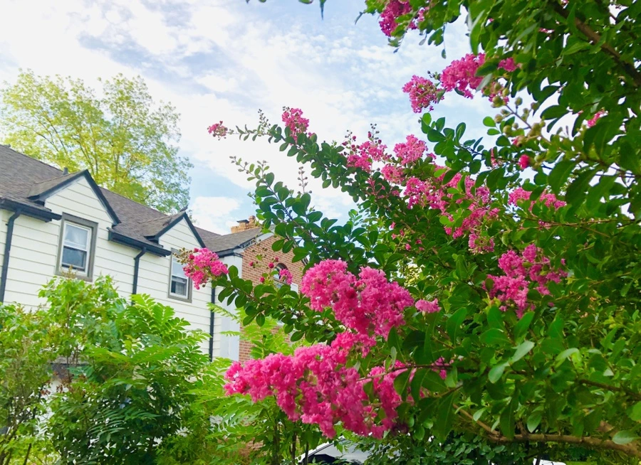 IMG_5650.jpg?type=w966