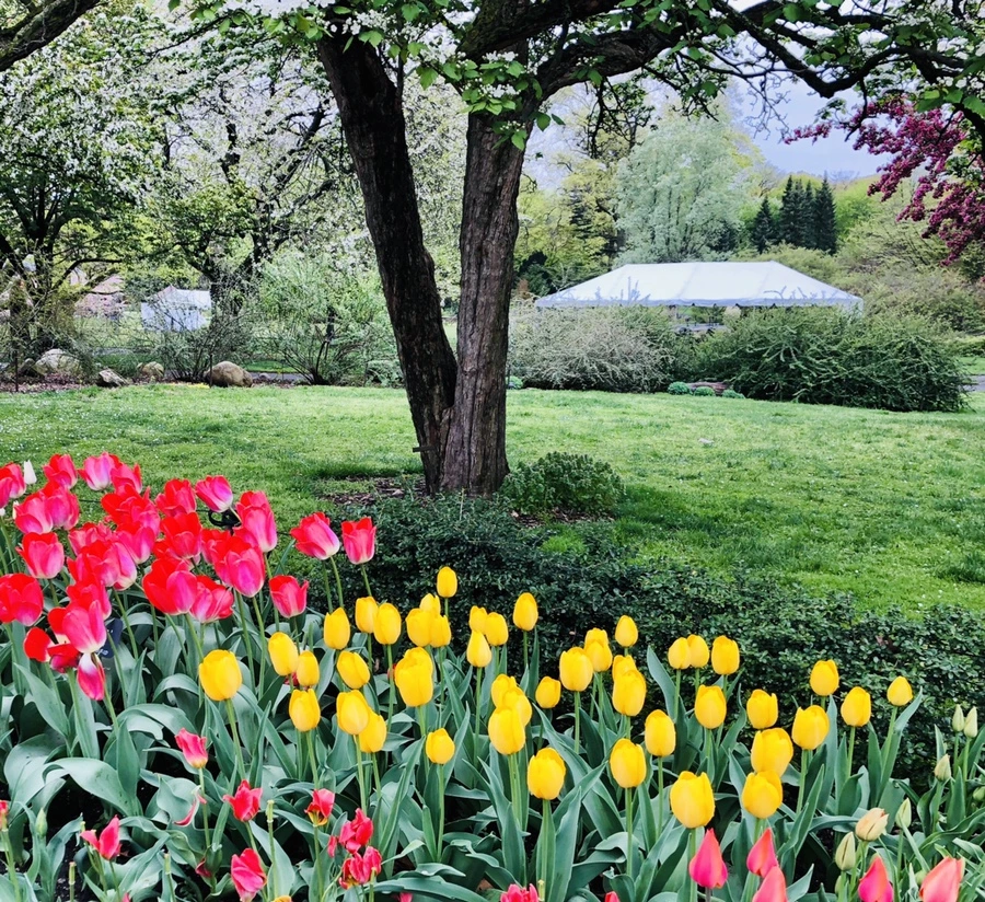 IMG_3710.jpg?type=w966