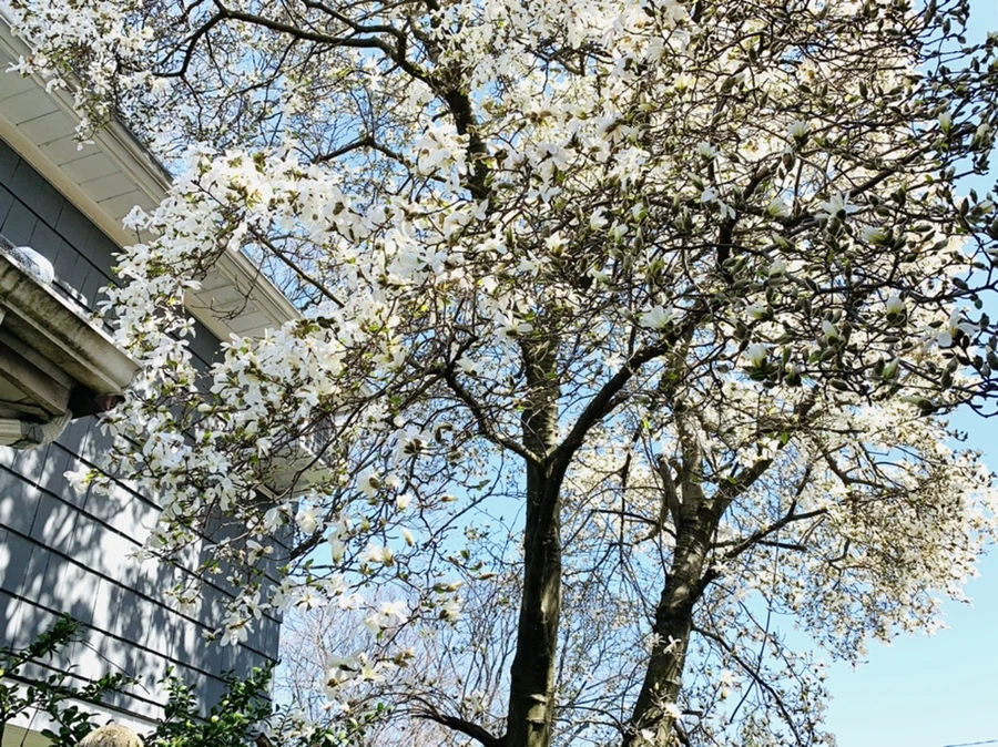 IMG_7663.jpg?type=w966