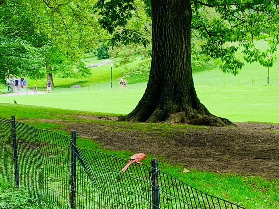 IMG_9927.jpg?type=w966