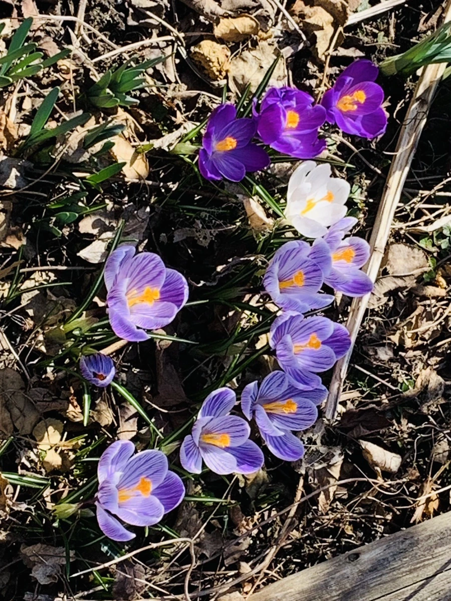 IMG_2904.jpg?type=w966