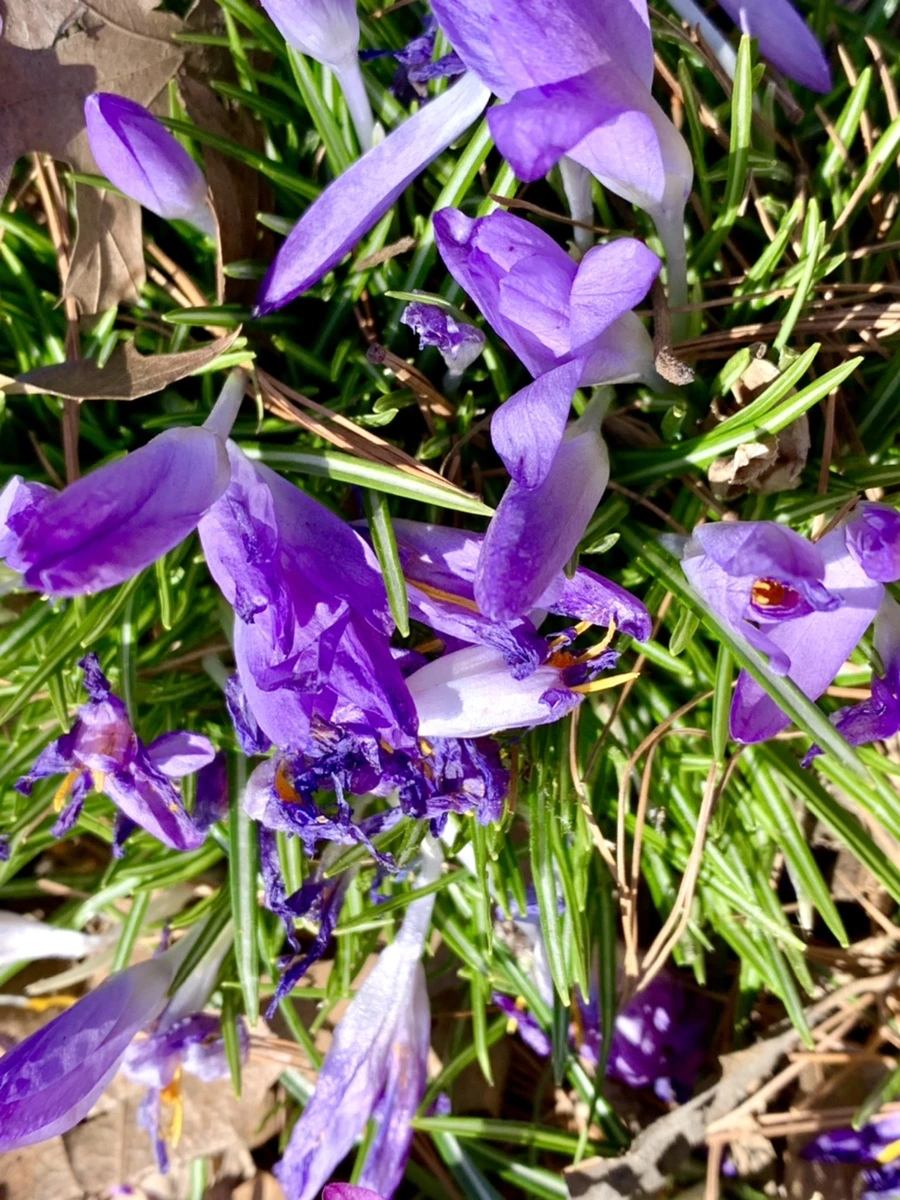 IMG_1434.jpg?type=w966