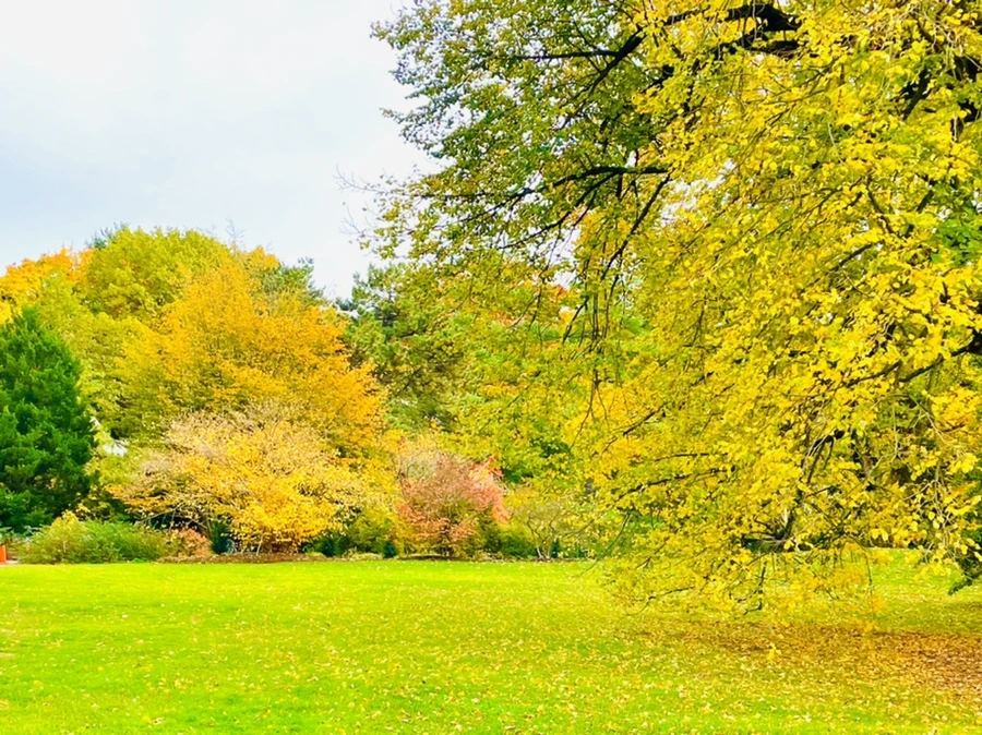 IMG_2326.jpg?type=w966