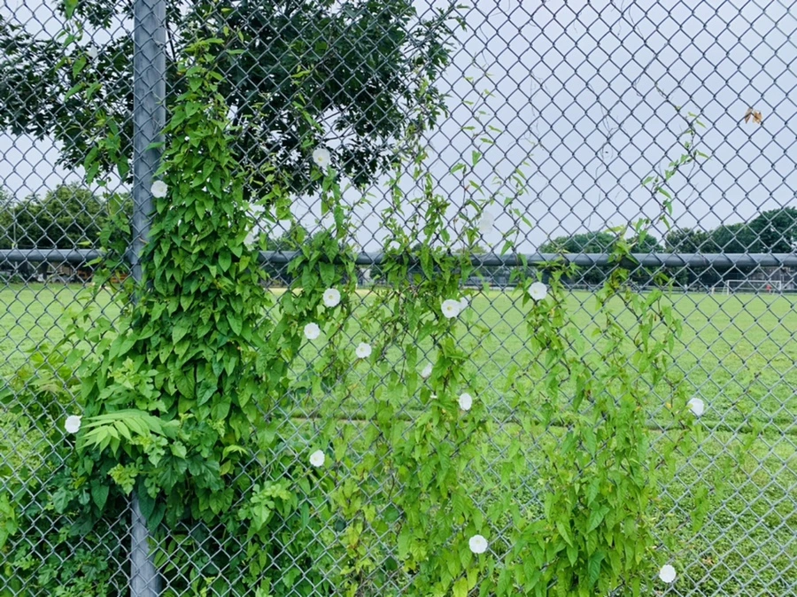 IMG_4966.jpg?type=w966