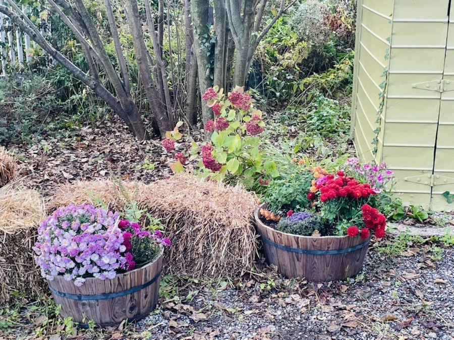 IMG_1011.jpg?type=w966