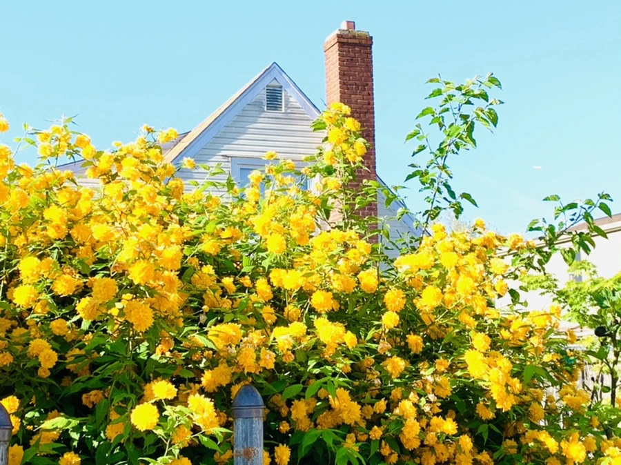 IMG_0630.jpg?type=w966