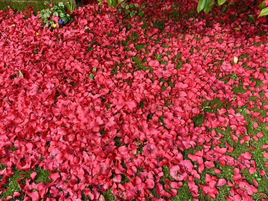 IMG_1551.jpg?type=w966