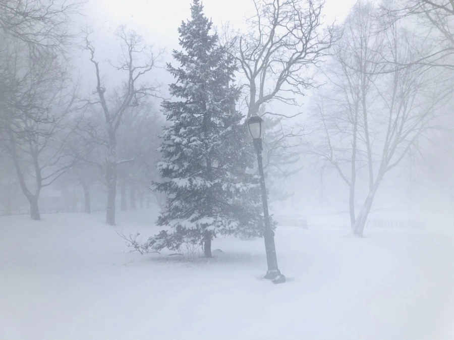 IMG_8801.jpg?type=w966