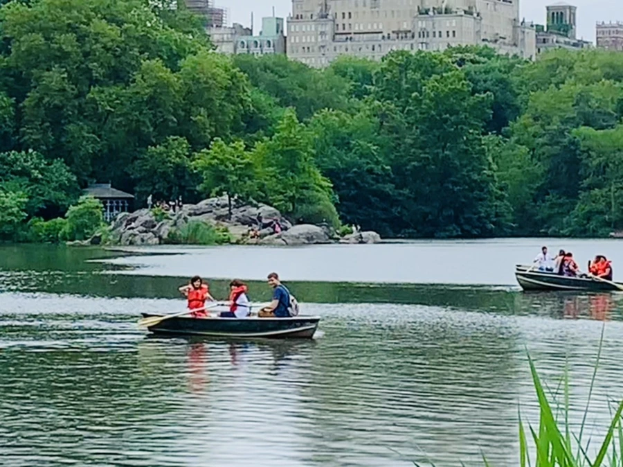 IMG_3380.jpg?type=w966