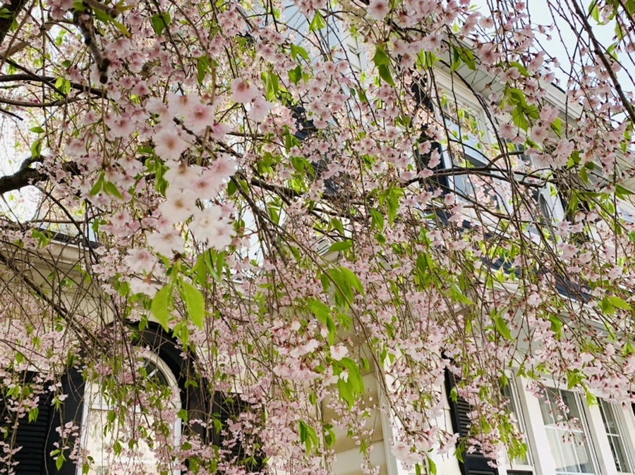 IMG_6700.jpg?type=w966