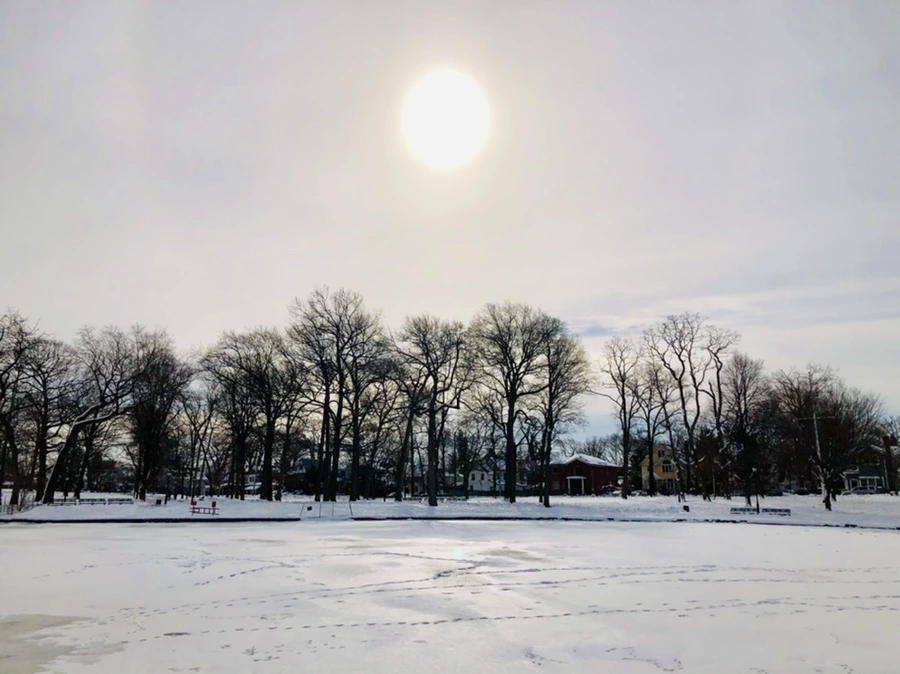 IMG_1699.jpg?type=w966