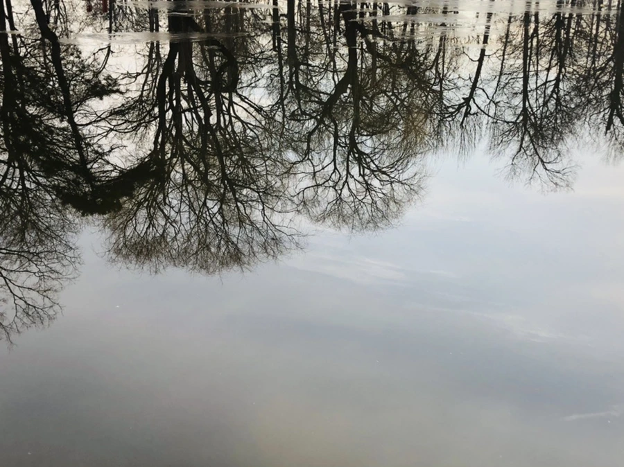 IMG_2524.jpg?type=w966