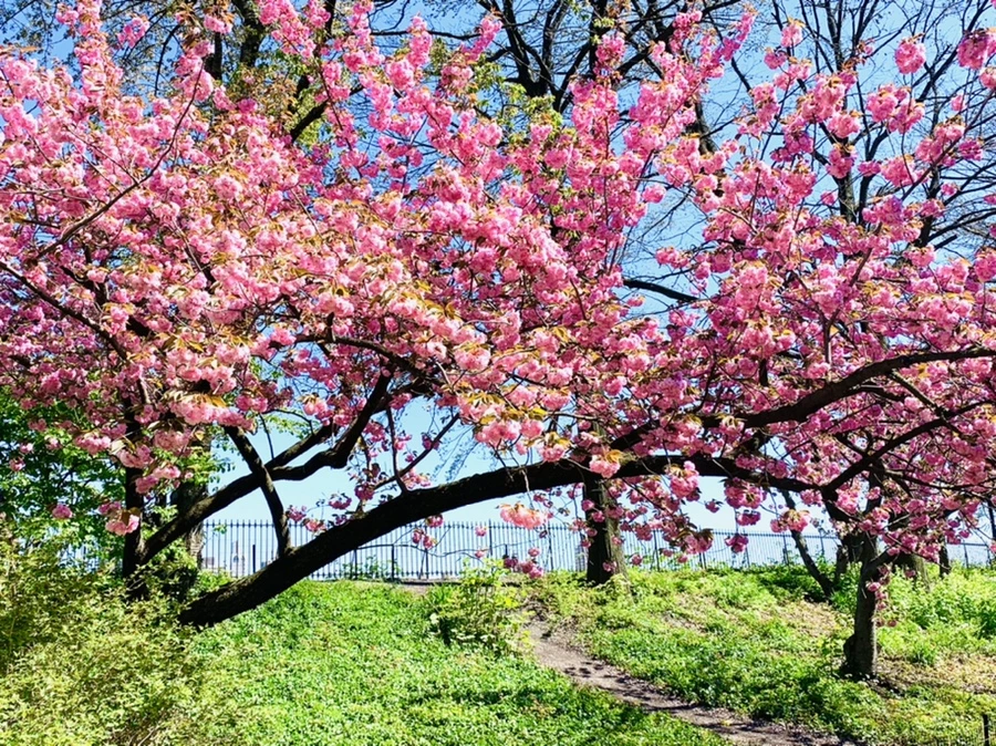 IMG_5823.jpg?type=w966