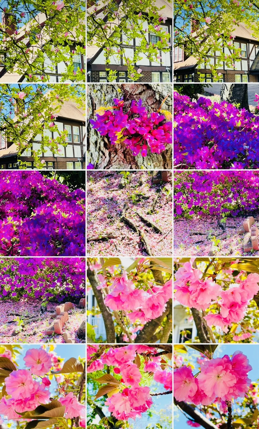 IMG_6199.jpg?type=w966