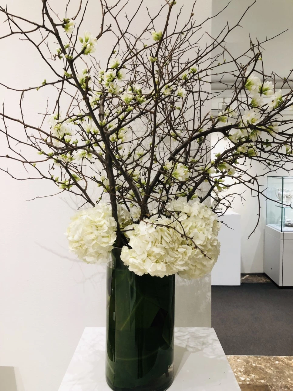 IMG_8826.jpg?type=w966