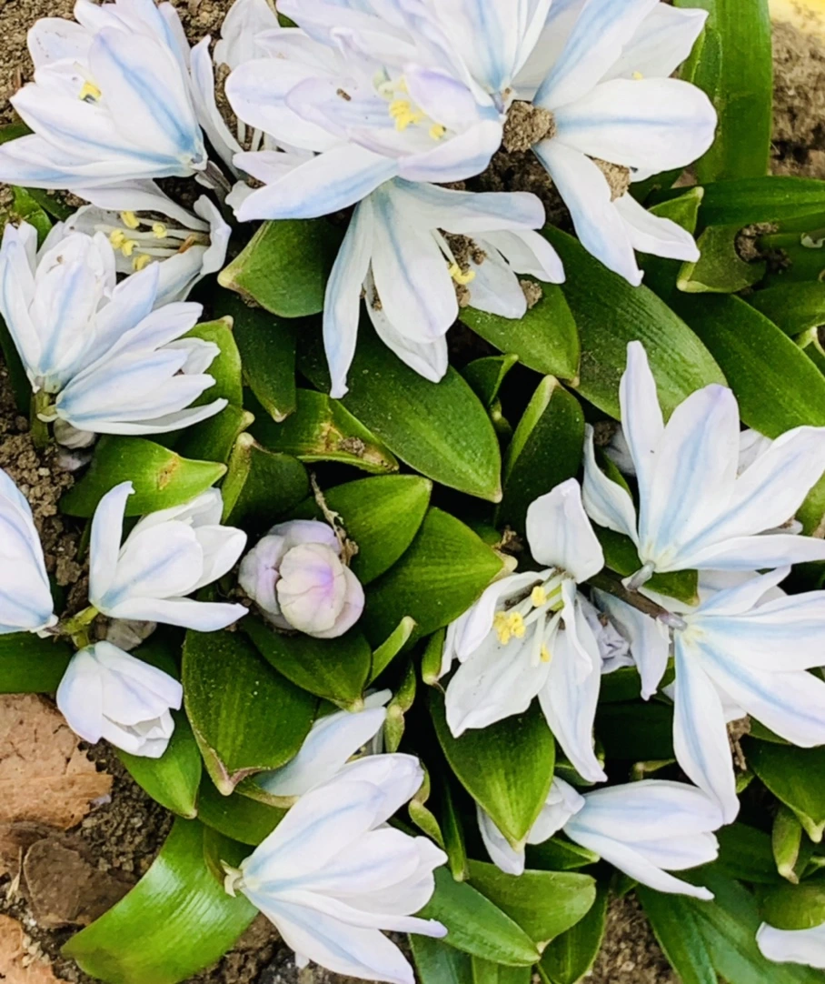 IMG_1712.jpg?type=w966