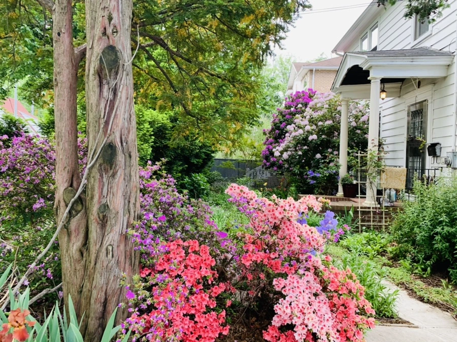 IMG_5474.jpg?type=w966