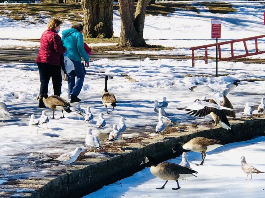 IMG_4820.jpg?type=w966