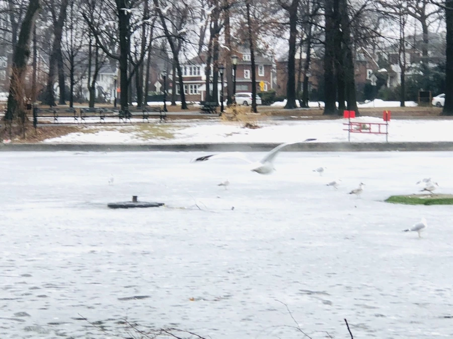 IMG_5736.jpg?type=w966