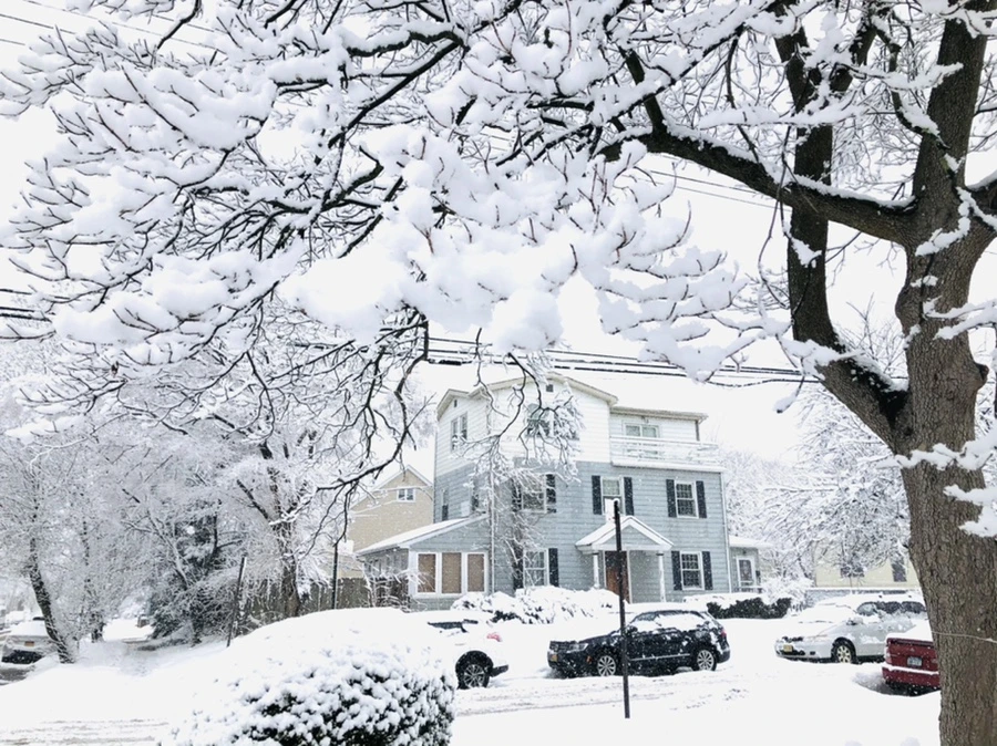 IMG_0990.jpg?type=w966