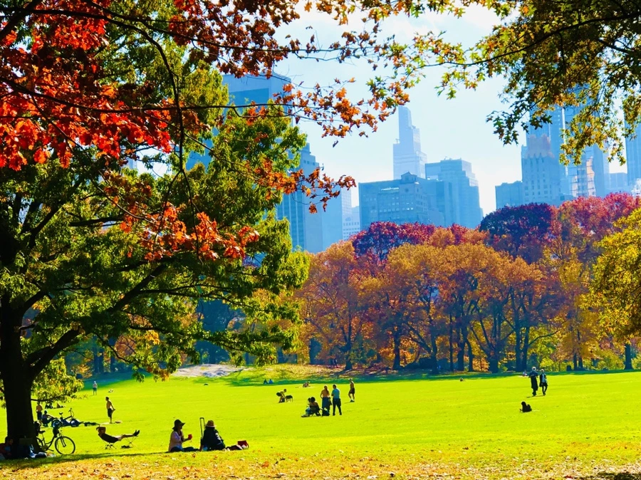 IMG_4346.jpg?type=w966