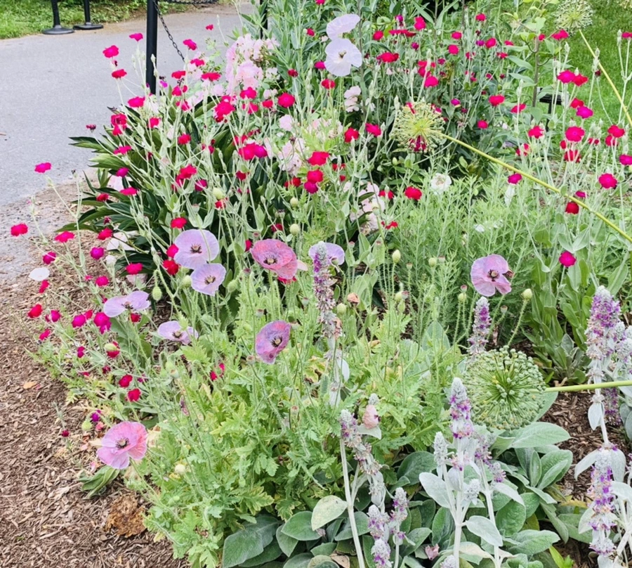 IMG_2913.jpg?type=w966