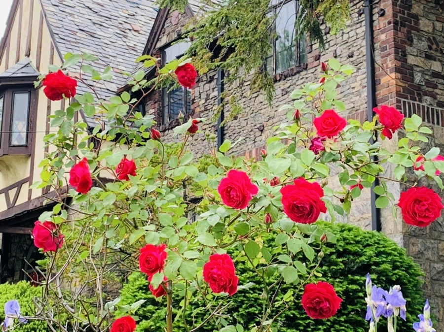 IMG_4810.jpg?type=w966