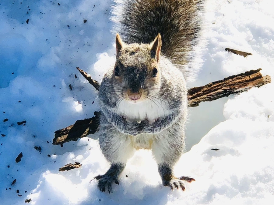 IMG_9685.jpg?type=w966