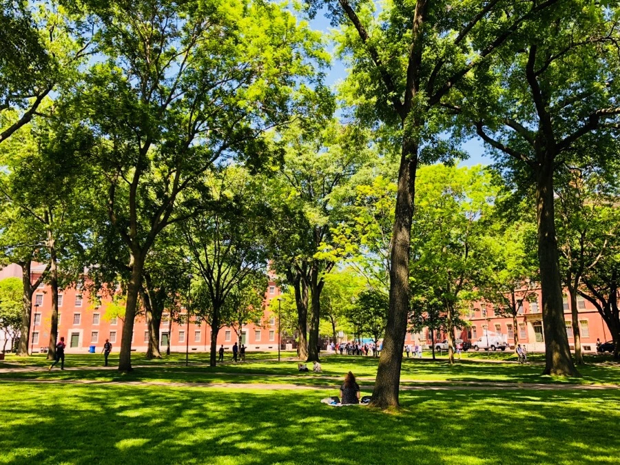 IMG_6916.jpg?type=w966