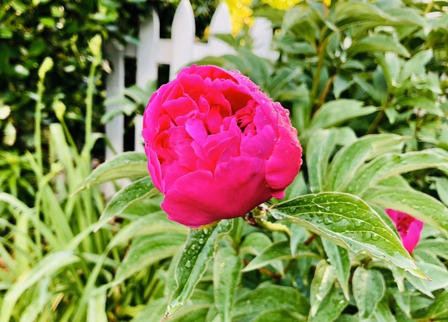 dBYFKy0uyY0U3XekvMf67WgWvGo