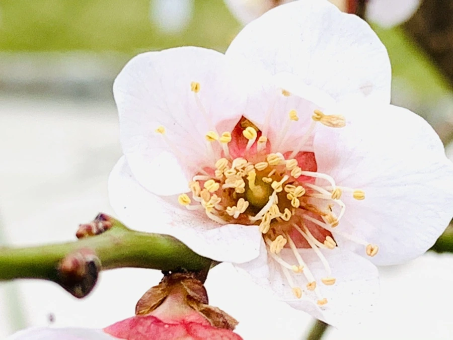 IMG_3614.jpg?type=w966