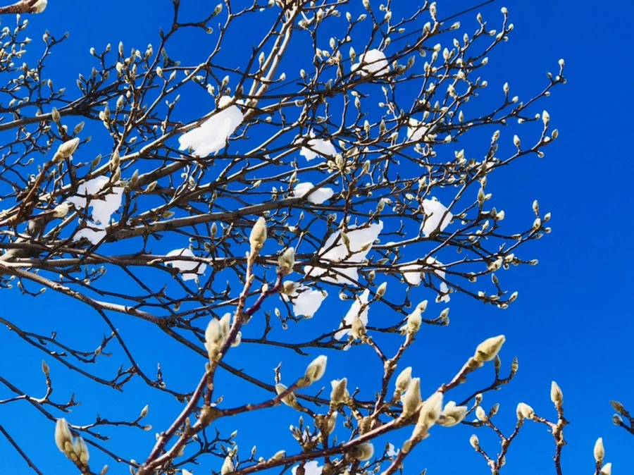 IMG_1389.jpg?type=w966