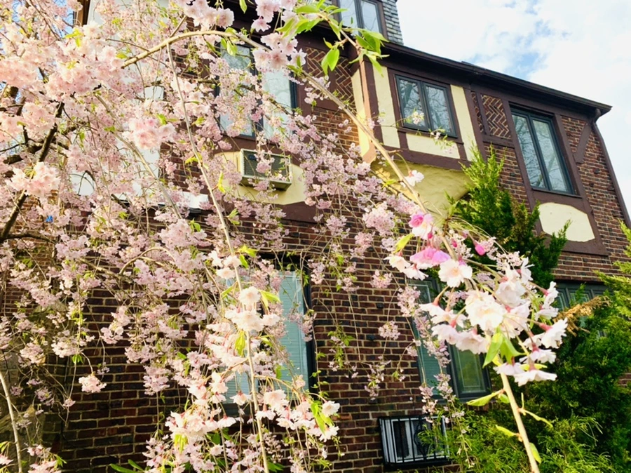 IMG_3787.jpg?type=w966