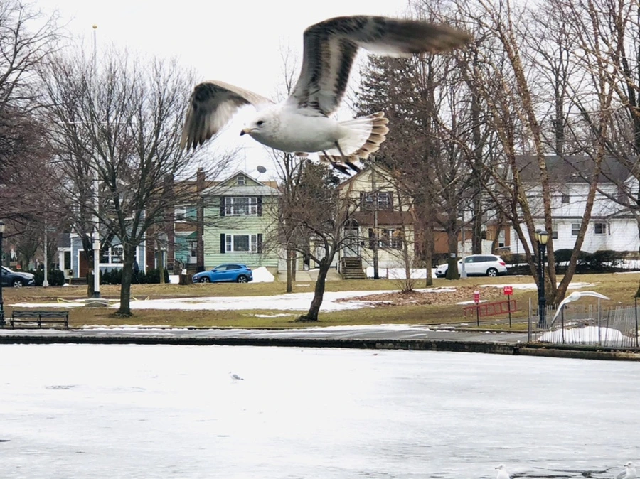 IMG_5998.jpg?type=w966