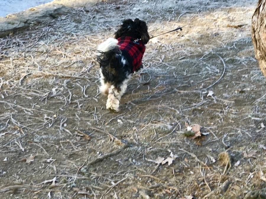 IMG_2285.jpg?type=w966