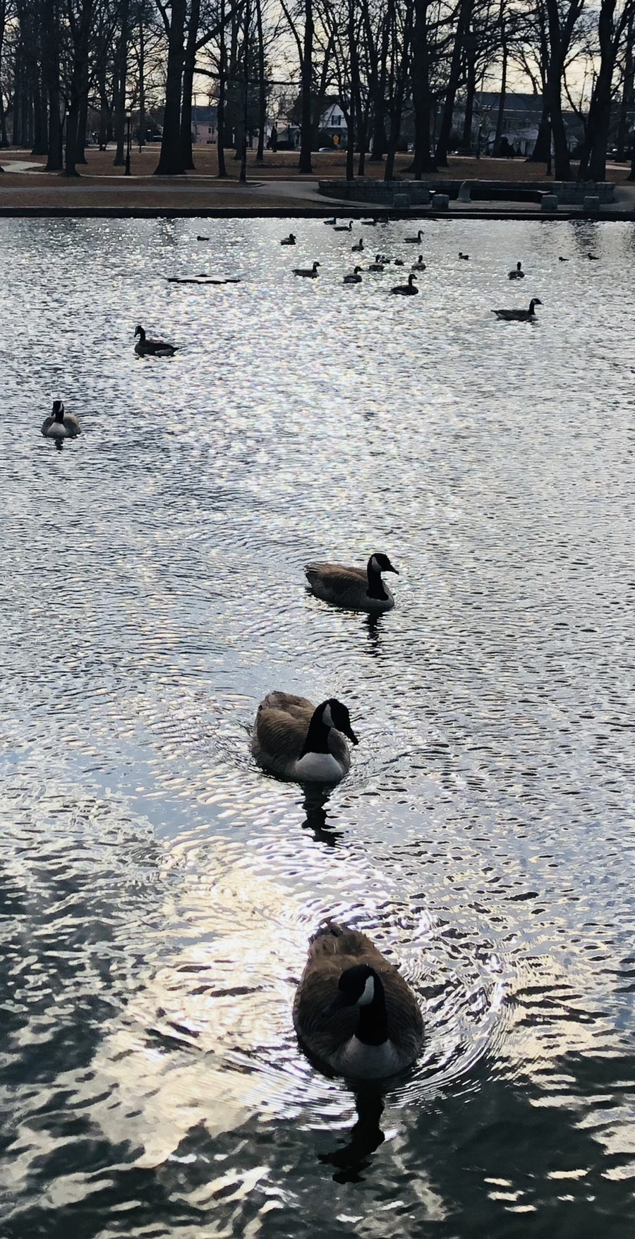 IMG_0157.jpg?type=w966