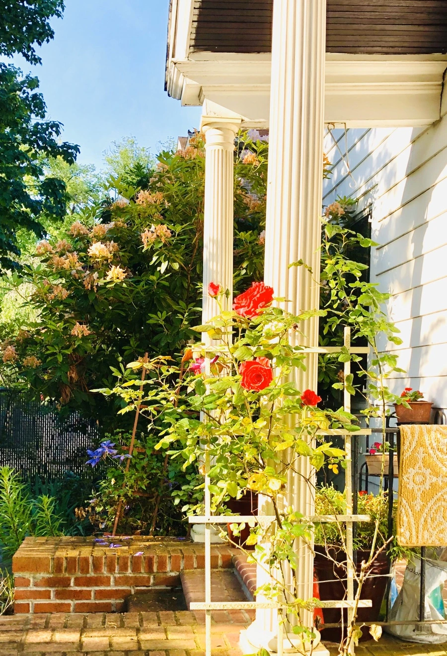 IMG_8011.jpg?type=w966