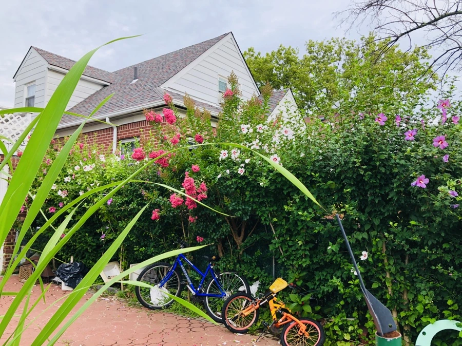 IMG_4159.jpg?type=w966