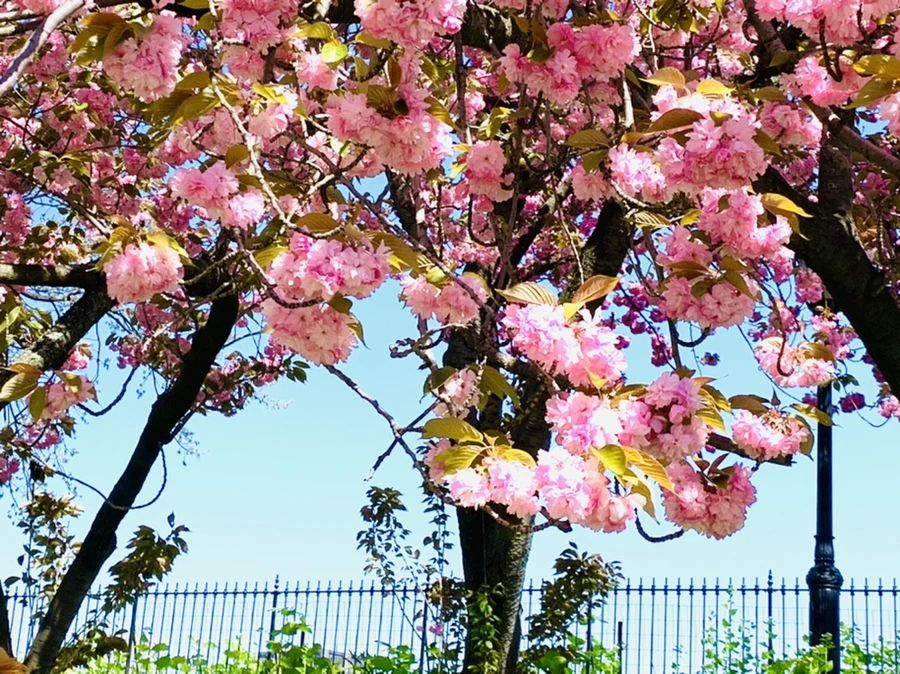 IMG_5869.jpg?type=w966