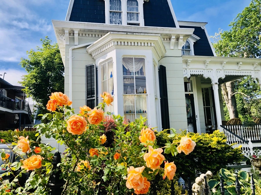 IMG_7488.jpg?type=w966