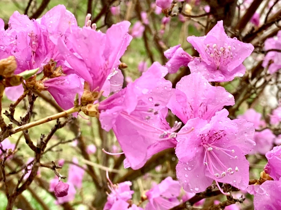 IMG_4902.jpg?type=w966