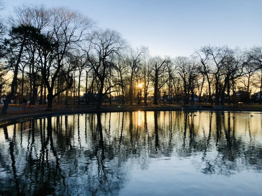 IMG_0795.jpg?type=w966