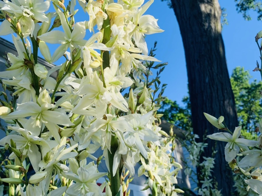 IMG_3973.jpg?type=w966