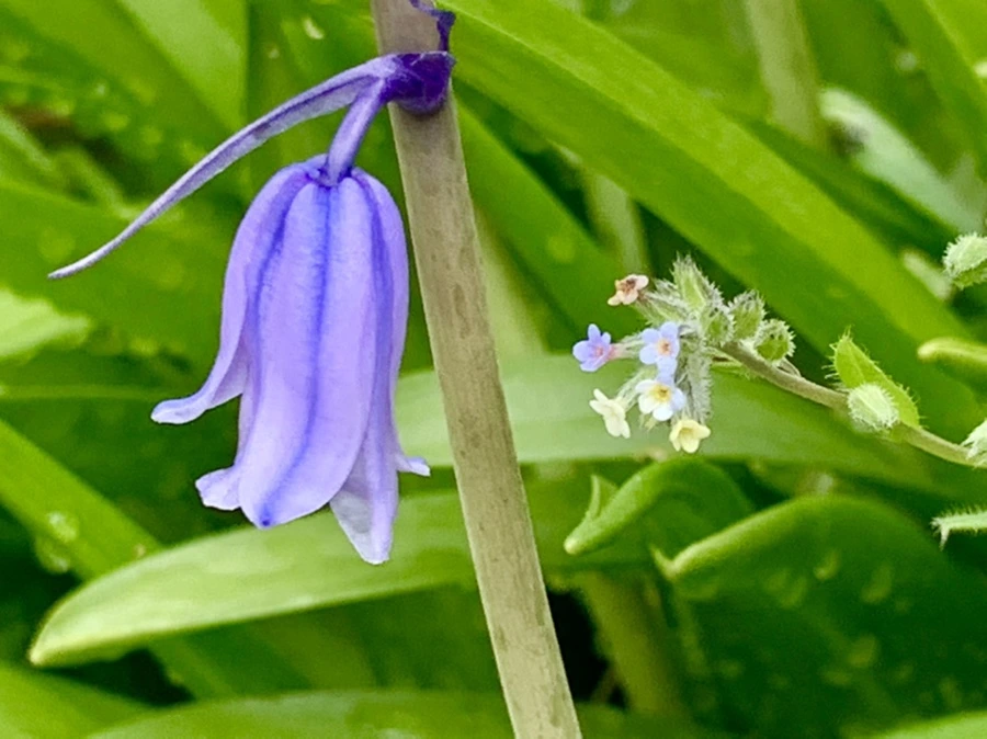 IMG_9597.jpg?type=w966