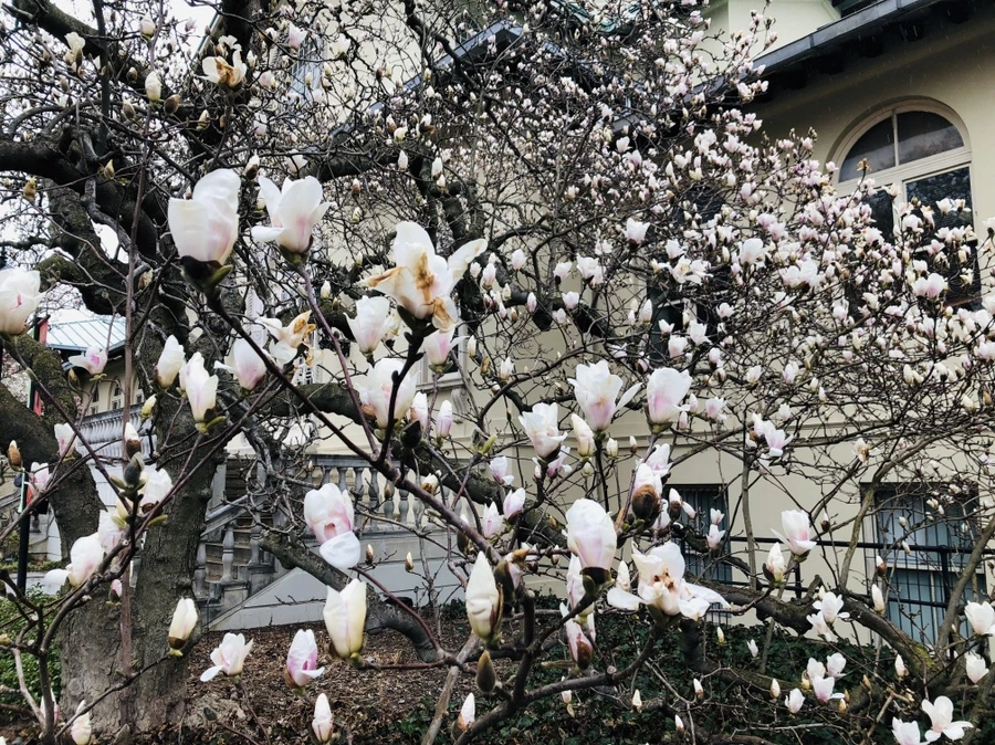 IMG_2341.jpg?type=w966