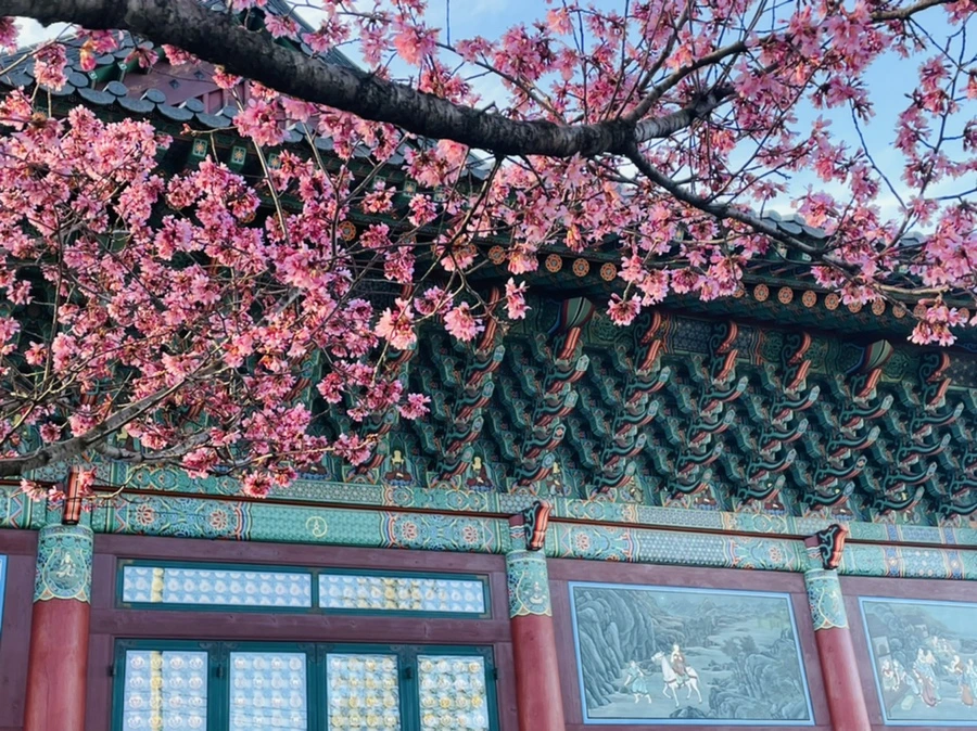 IMG_6099.jpg?type=w966